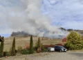Incendiu de vegetație uscată și pădure în Sâncraiu de Mureș. Pompierii intervin cu autospeciale și UTV